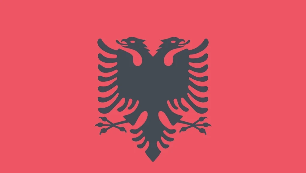 Albania flag illustration vector