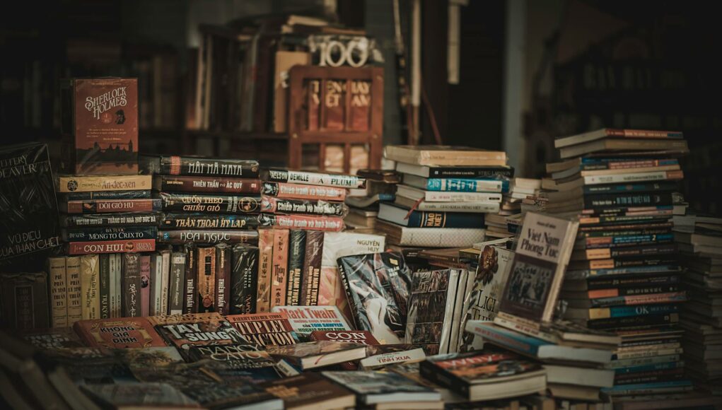 pile of assorted novel books